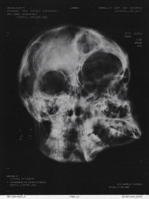 画像18