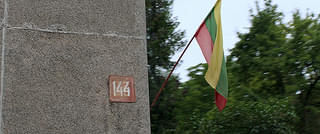 画像14