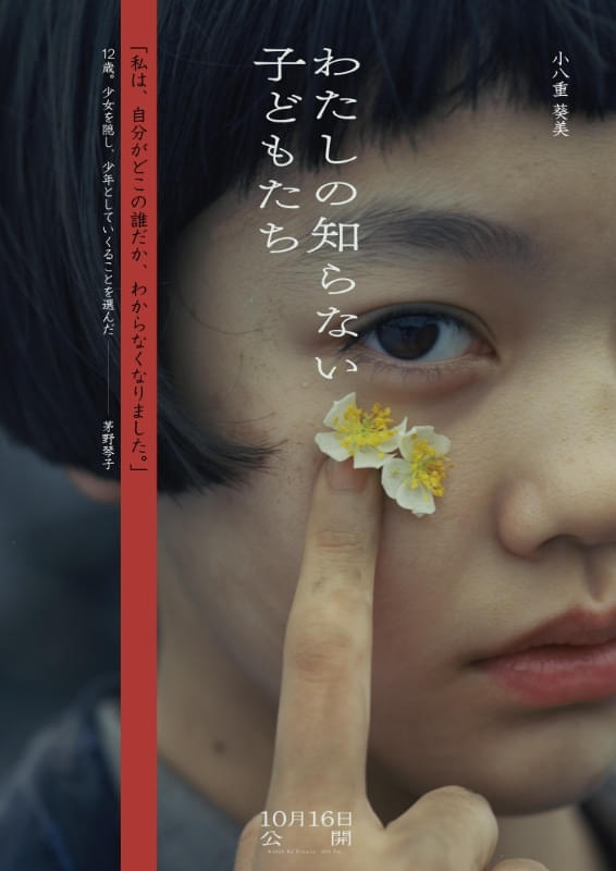 画像16