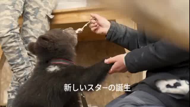 メイキング映像