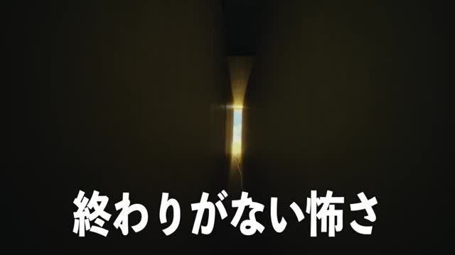 観客コメント映像