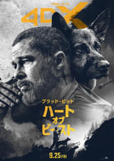 画像19