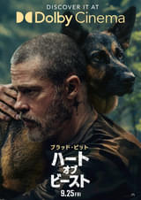 画像20