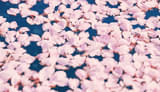 画像20