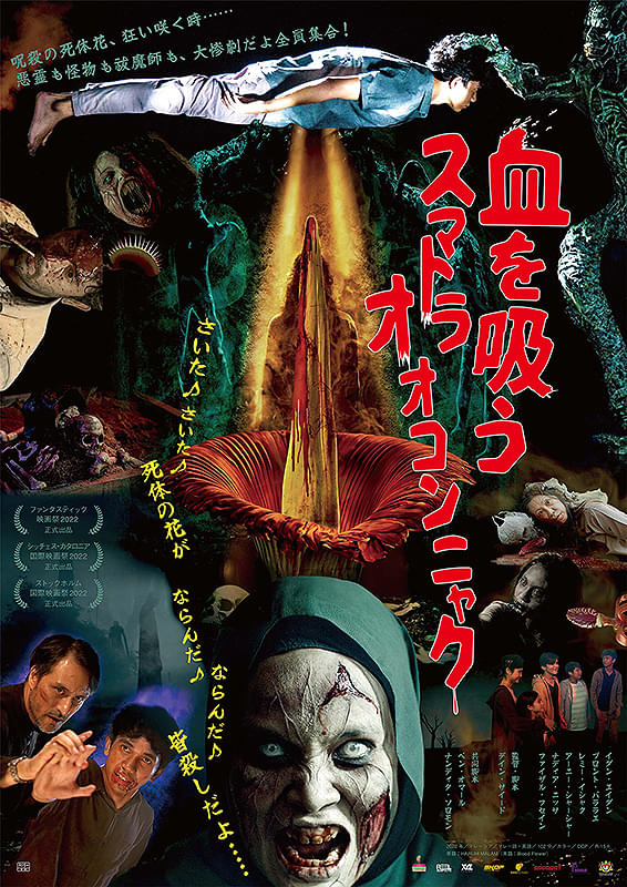 画像16