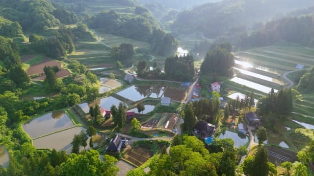 画像10