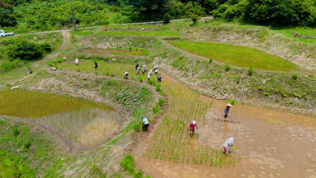 画像12