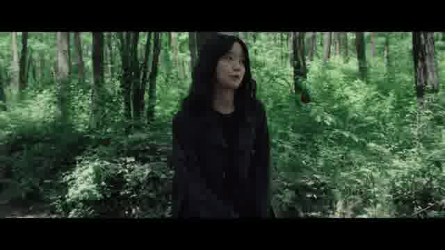 予告編