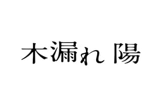 木漏れ陽