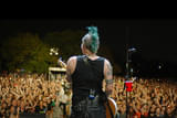 NOFX：40 Years of Fuckin’ Up