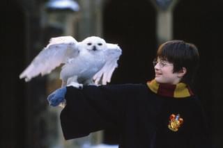 ハリー・ポッターと賢者の石