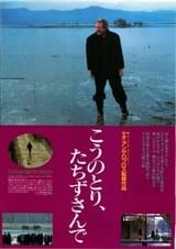 こうのとり、たちずさんで