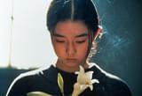 画像14