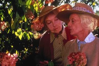 八月の鯨の予告編・動画