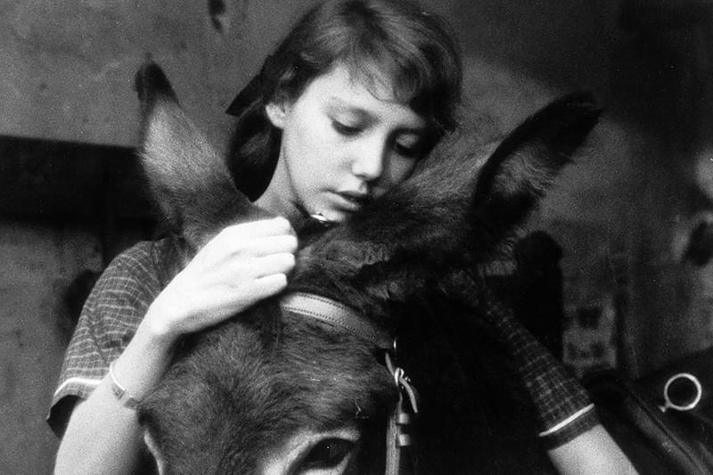 バルタザールどこへ行く : 作品情報・キャスト・あらすじ - 映画.com