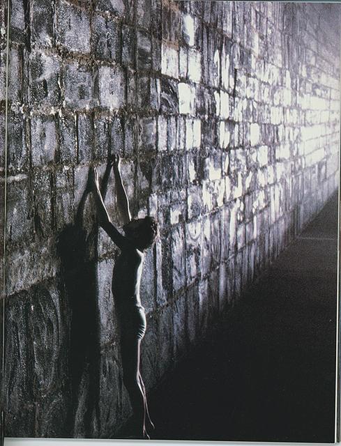 ピンク・フロイド ザ・ウォール : 作品情報・キャスト・あらすじ