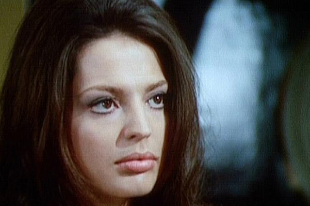 ファイブ・バンボーレ