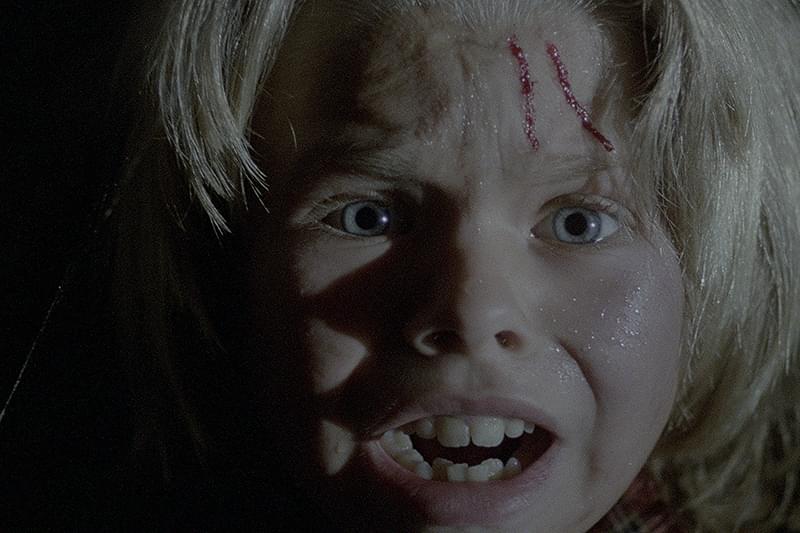 LD レーザーディスク　墓地裏の家　ルチオ・フルチ　未開封 Yahoo!オークション - 墓地裏の家 ルチオ・フルチ 監督 LD レーザーデ