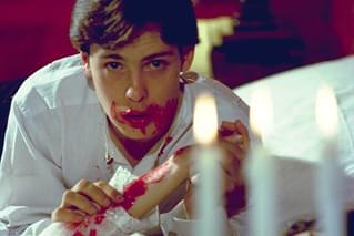 マーティン 呪われた吸血少年