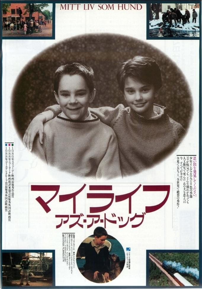 マイライフ・アズ・ア・ドッグ