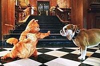 ガーフィールド ザ・ムービー('04米)ガーフィールド2('06米) il_1080xN.6063258729_p1hw.jpg