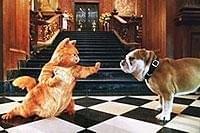 ガーフィールド2 : 作品情報・声優・キャスト・あらすじ - 映画.com