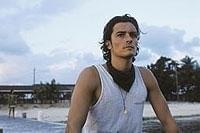 ヘイヴン 堕ちた楽園