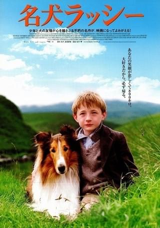 名犬ラッシーの勇気　USオリジナル映画ポスター 名犬ラッシーの勇気 USオリジナル映画ポスター 名犬ラッシーの勇気 US