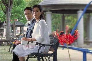 22才の別れ Lycoris 葉見ず花見ず物語