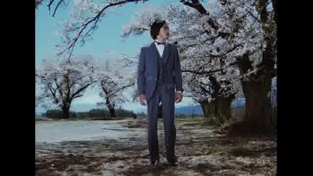 「SEIJUN RETURNS in 4K」予告編