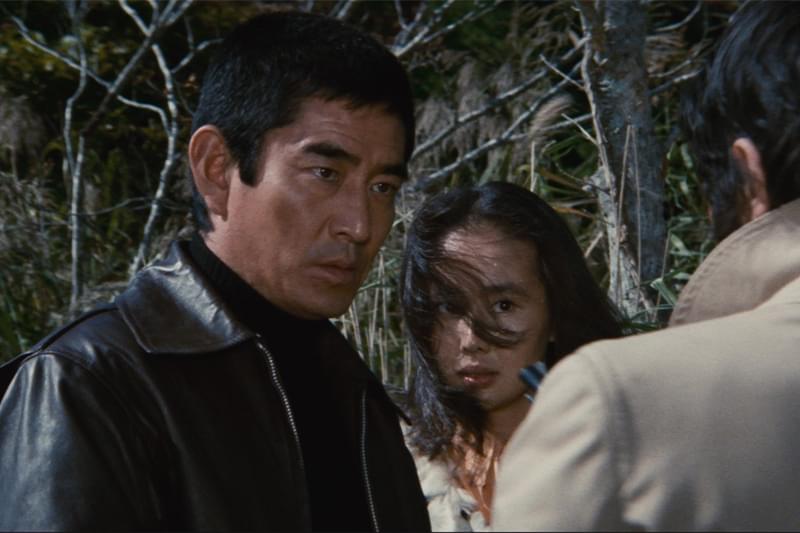 君よ憤怒の河を渉れ : 作品情報・キャスト・あらすじ - 映画.com