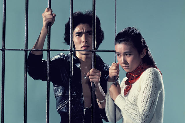 さらば夏の光よ