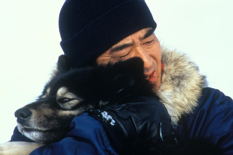 南極物語DVDと当時のパンフレット 南極物語（1983） : 作品情報