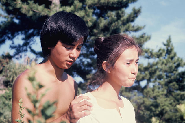 パーマネント・ブルー 真夏の恋