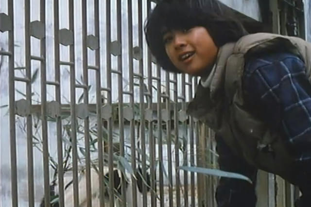 パンダ物語 熊猫的故事