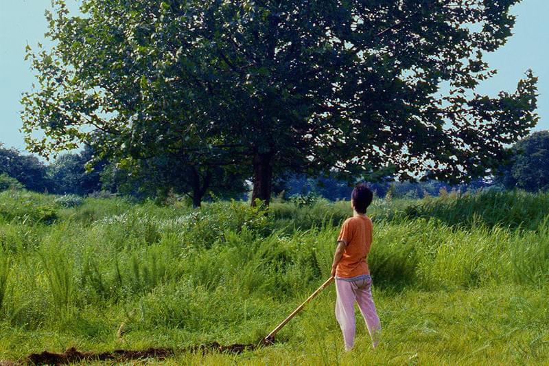 ロビンソンの庭 : 作品情報・キャスト・あらすじ・動画 - 映画.com