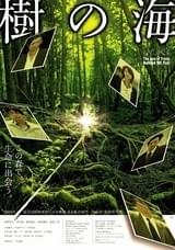 樹の海