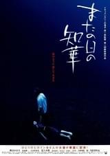 またの日の知華