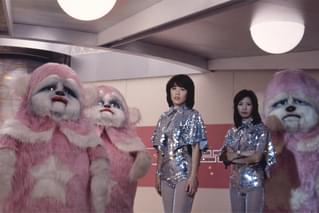 ピンクレディーの活動大写真