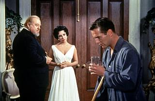 熱いトタン屋根の猫