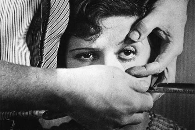 アンダルシアの犬