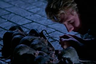 ウイラードの予告編・動画