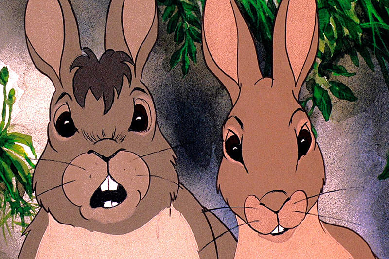 ウォーターシップダウンのうさぎたち DVD アニメ 〔新品ケース〕 ウォーターシップ・ダウンのうさぎたちの予告編・動画「予告編