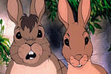ウォーターシップ・ダウンのうさぎたち