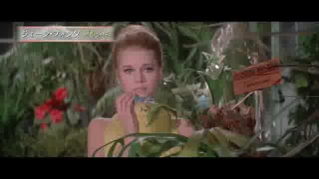 特集「“永遠女優” 甦る青春のアイドルたち＜1960-70年代編＞」予告編