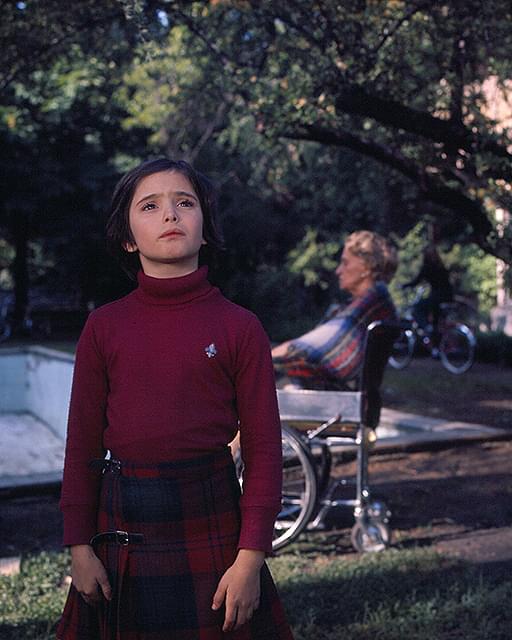 カラスの飼育 : 作品情報・キャスト・あらすじ - 映画.com
