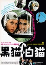 黒猫・白猫