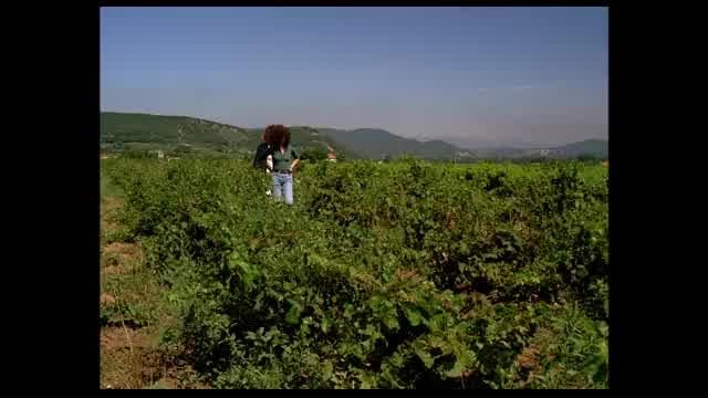 エリック・ロメール監督特集上映「四季の物語シリーズ」予告編