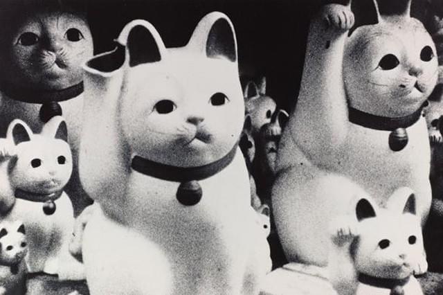 サン・ソレイユ : 作品情報・キャスト・あらすじ・動画 - 映画.com