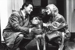 しのび逢い ムッシュ・リポアの恋愛修業